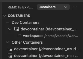 Viewing Docker containers running on the remote host